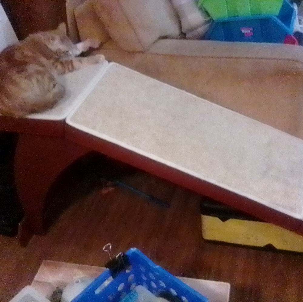 Pet ramp - Picture 2 of 3